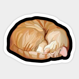 Sleeping Curled Orange Ginger Tabby Cat Sticker